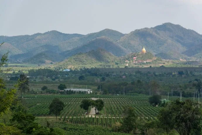 vineyards around hua hin