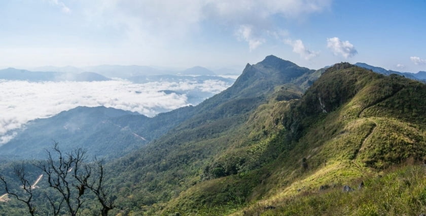 doi pha tang thailande en janvier doi pha tang thailande en janvier