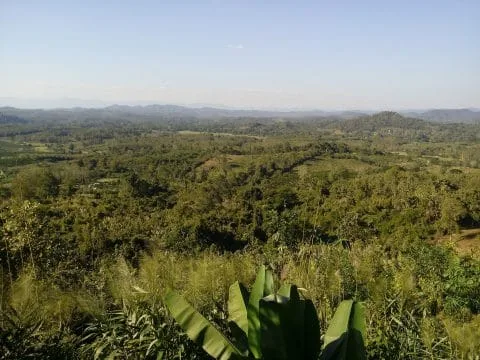 landscape north lampang in january