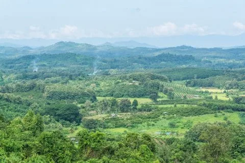 northern lampang landscape in november