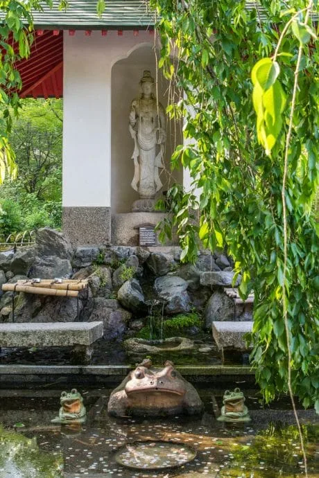 back garden sogenchi tenryu-ji temple kyoto
