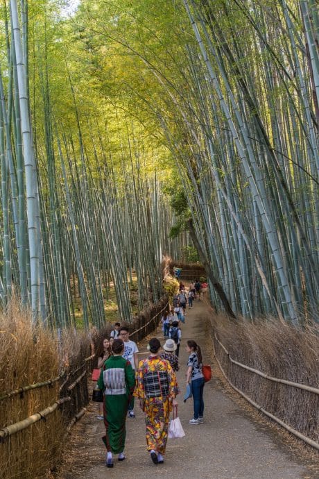 bambouseraie arashiyama - kyoto