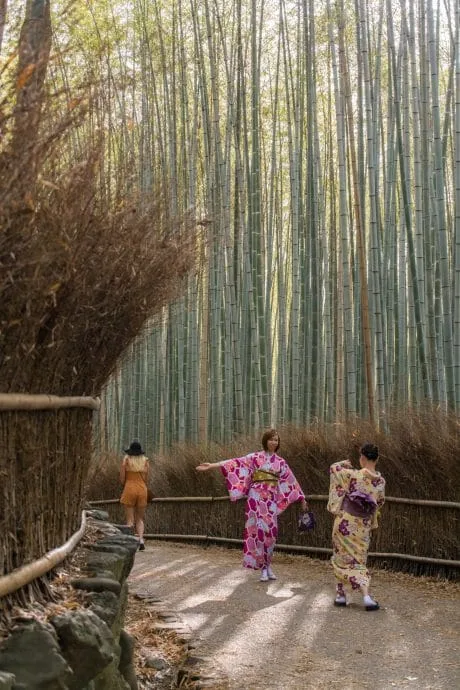 arashiyama bamboo grove - kyoto
