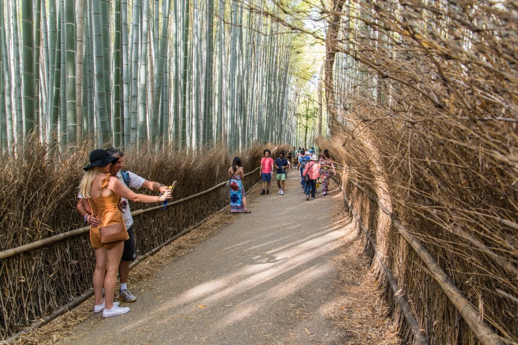 Arashiyama
