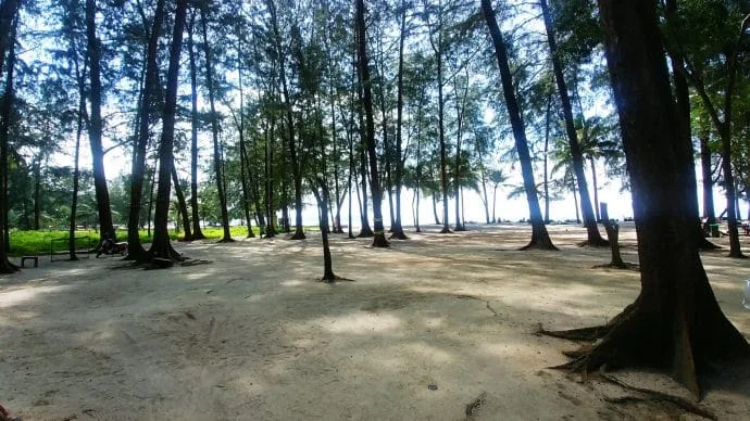 wood bang tao beach phuket