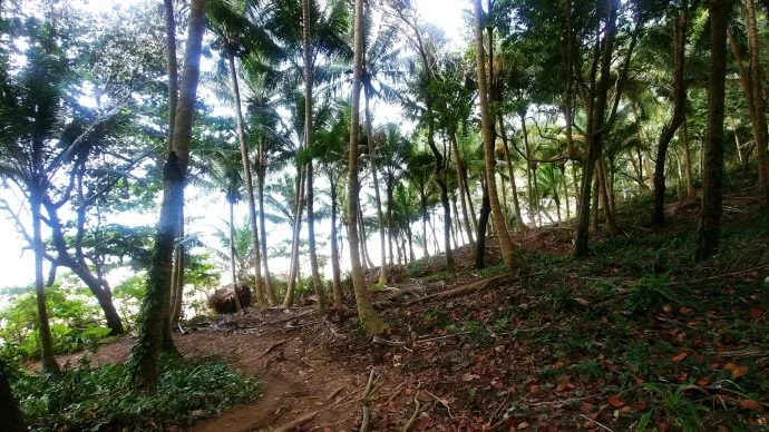 path access banana beach phuket