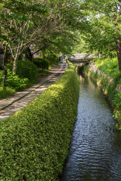 chemin de la philosophie - kyoto