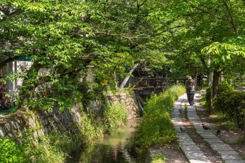 path of philosophy - kyoto