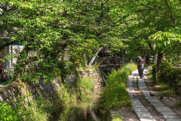 chemin de la philosophie - kyoto