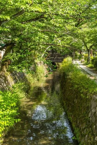 path of philosophy - kyoto