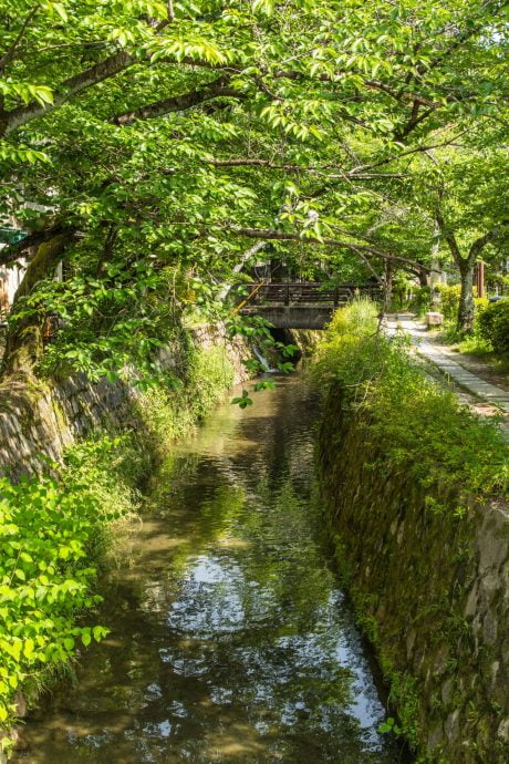 chemin de la philosophie - kyoto