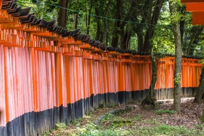 torii fushimi inari taisha column - kyoto