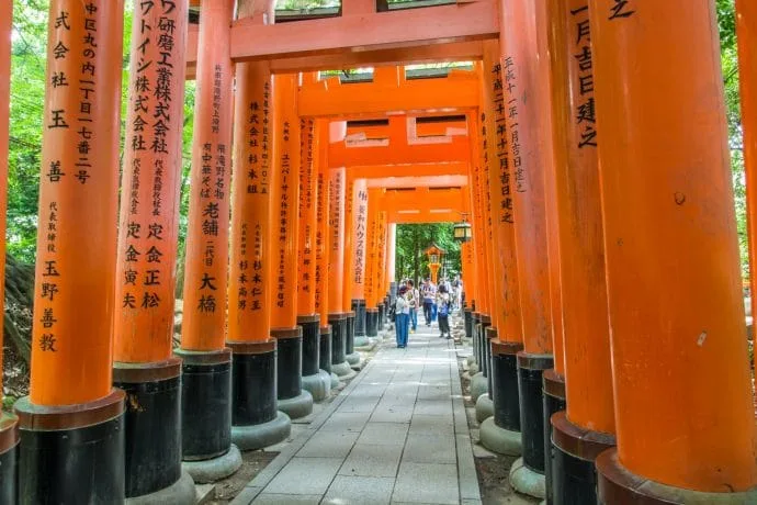 corridor torri fushimi inari taisha - kyoto
