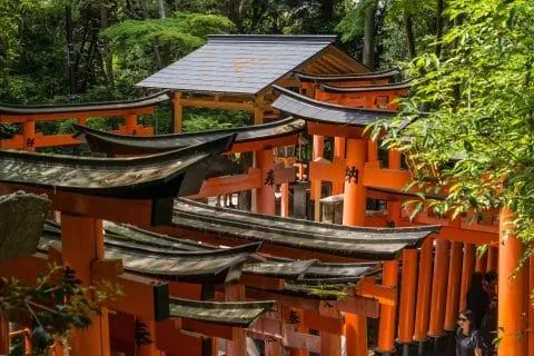 crossroads fushimi inari - kyoto