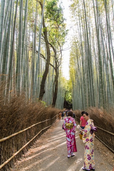 kyoto bamboo forest