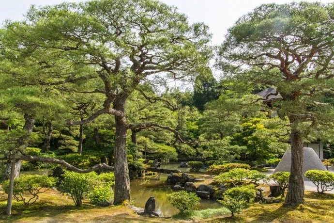 garden at ginkaku-ji silver pavilion - kyoto