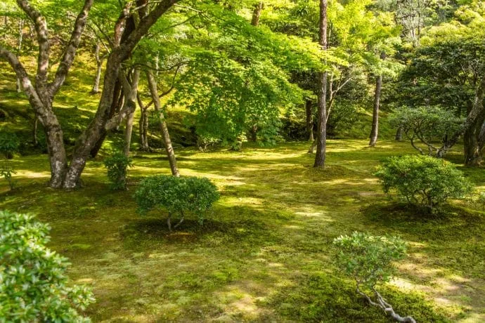 ginkaku-ji moss garden silver pavilion - kyoto