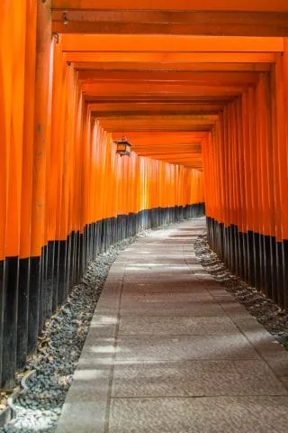 thousand torii fushimi inari - kyoto