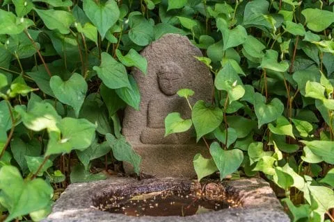 small buddha temple around hotel gran ms kyoto