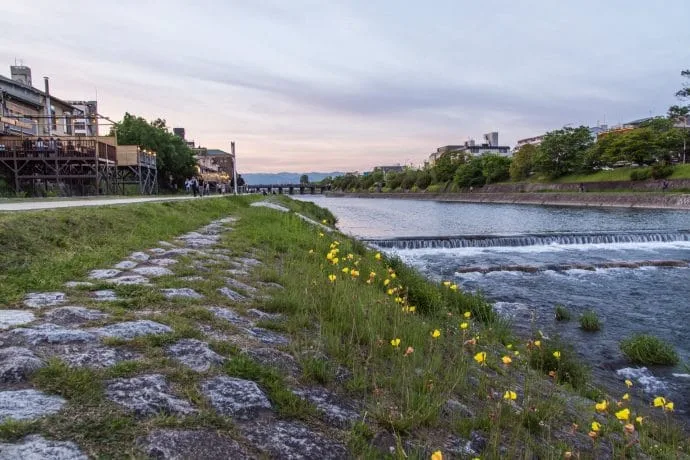 kamo river pontocho kyoto