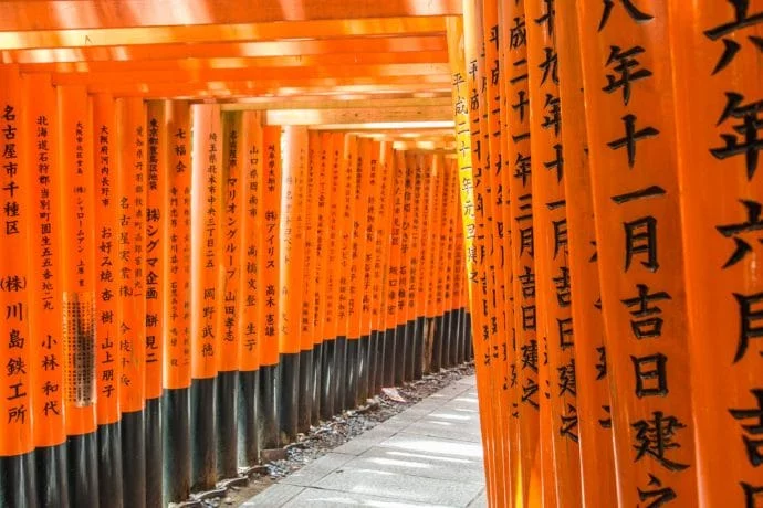 torii of the fushimi inari taisha shrine kyoto
