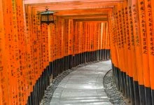 torii fushimi inari taisha tunnel - kyoto
