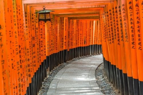tunnel torii fushimi inari taisha - kyoto
