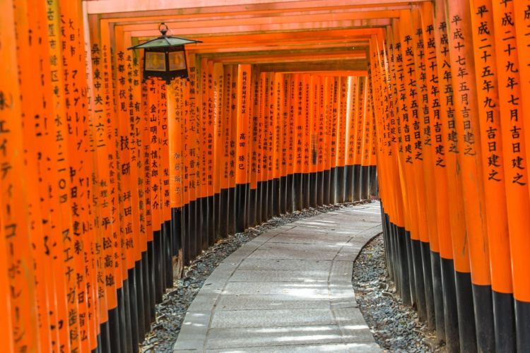 tunnel torii fushimi inari taisha - kyoto