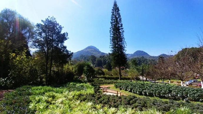 ang khang agricultural station - thailand