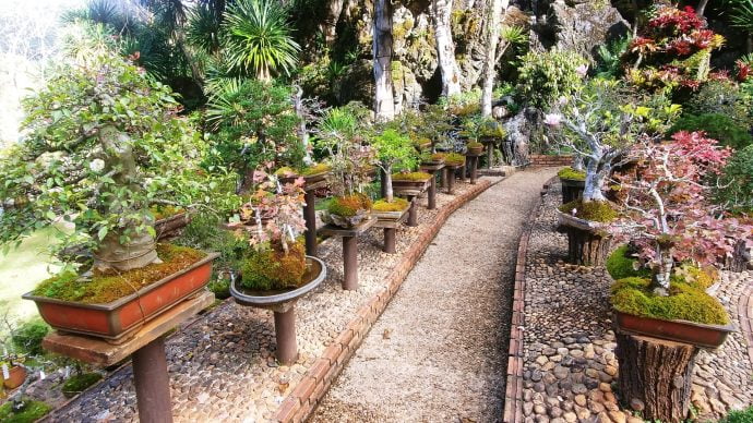 ang khang agricultural station - thailande