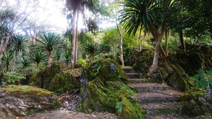 ang khang agricultural station - thailande