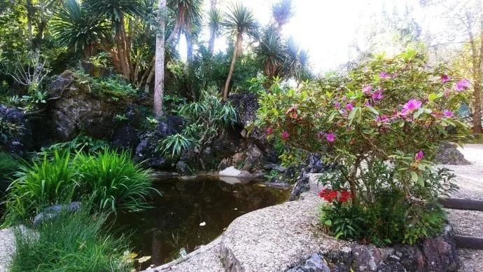 ang khang agricultural station - thailand