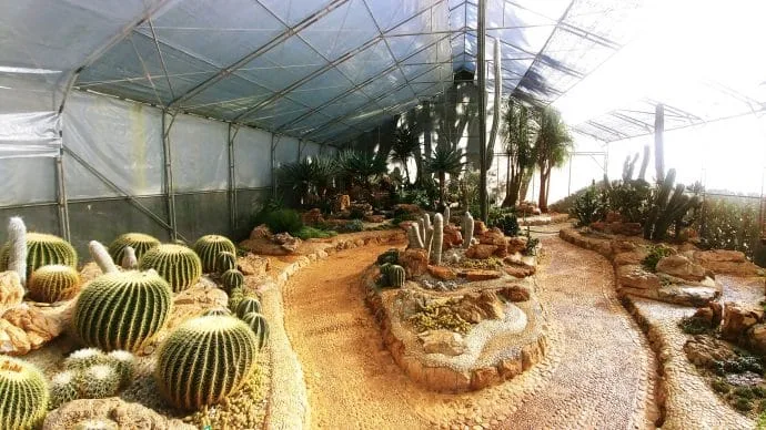 ang khang agricultural station - thailand