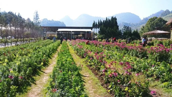 ang khang agricultural station - thailand
