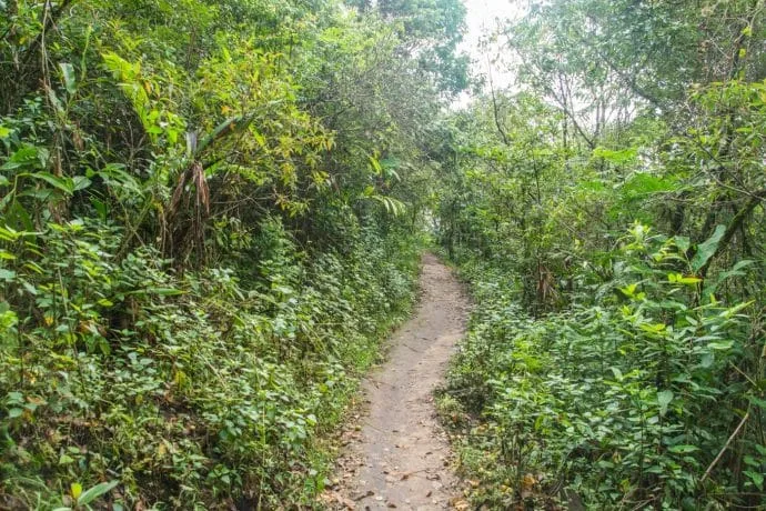 doi ang khang viewpoint path - thailand