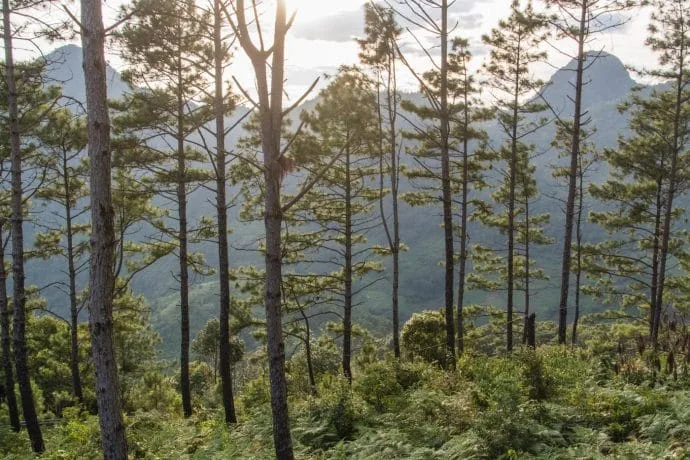 doi ang khang drill - thailand