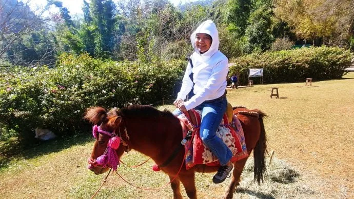 mule in doi ang khang