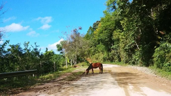 road near doi ang khang - thailand