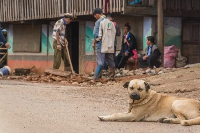ban nor lae doi ang khang street - thailand