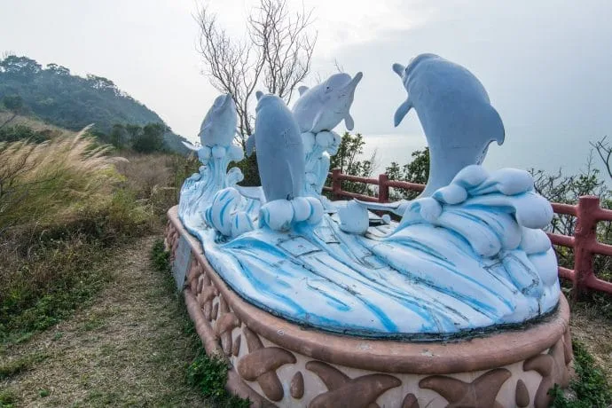 tai o dolphins - lantau island hong kong