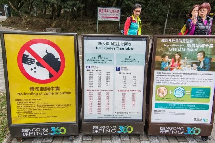 ngong ping tai o - hong kong bus schedule