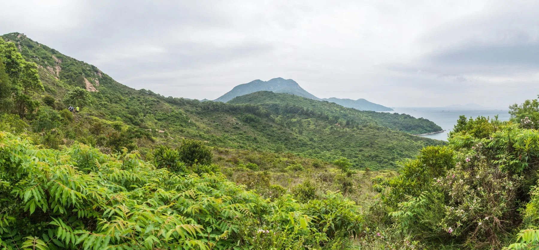 landscape walk lamma island - hong kong