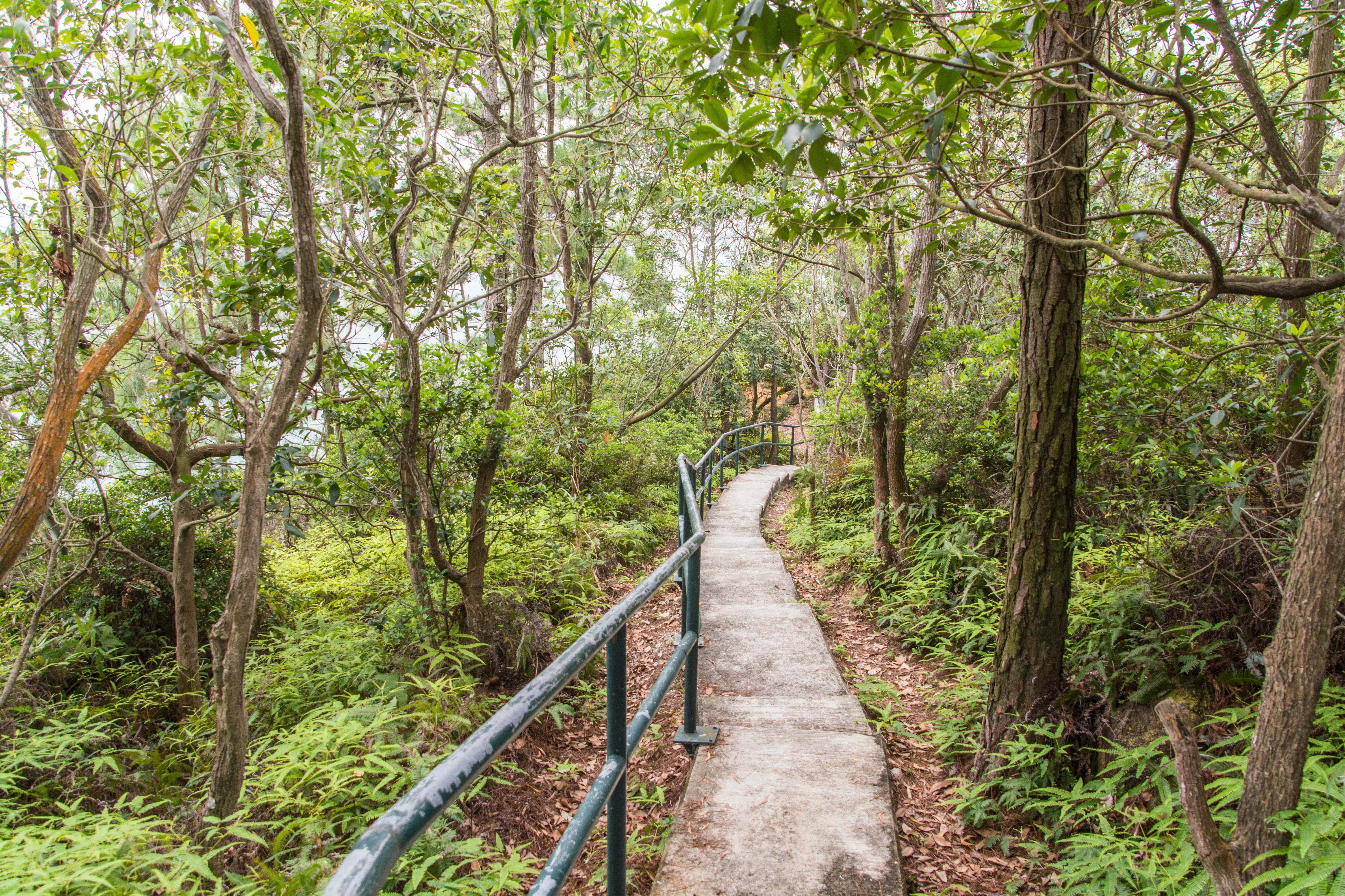 lamma island side trail - hong kong