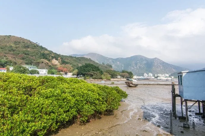 tai o village - lantau island hong kong