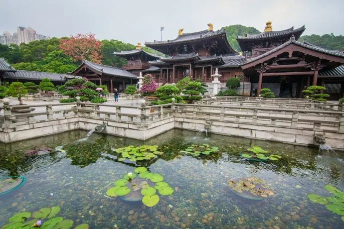 lotus flower pond chi lin convent - hong kong