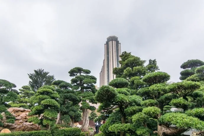 in nan lian gardens - hong kong
