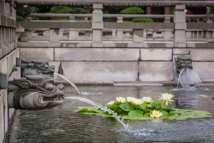 lotus flower pond chi lin convent - hong kong
