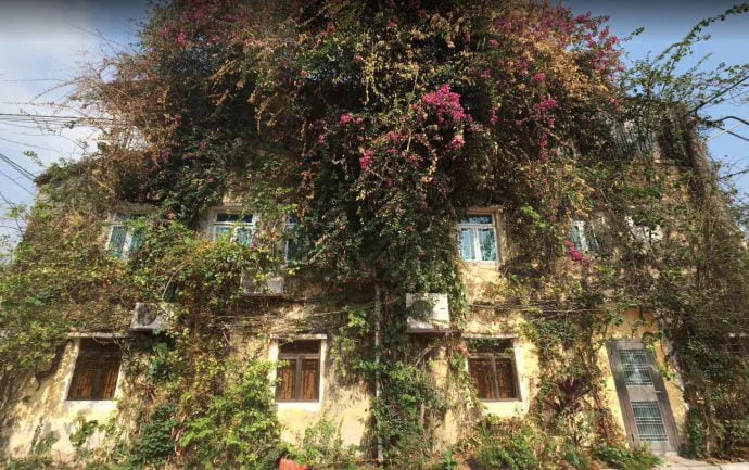 coloane bougainvillea house - macau