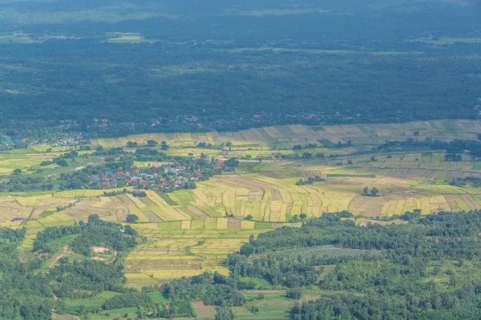 rice fields and villages - lampang thailand