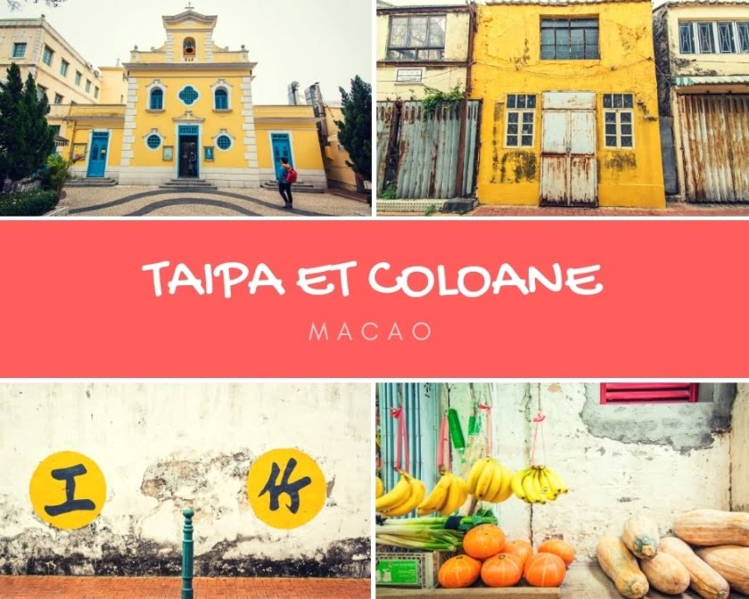 taipa et coloane cover